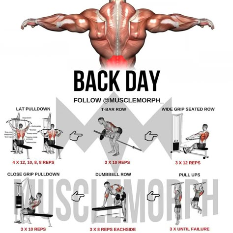 Back Day Exercises, Workout Programs For Men, Lat Workout, Back Workout Bodybuilding, Back Workout Men, Back Day Workout, Fitness Studio Training, Good Back Workouts, Gym Antrenmanları