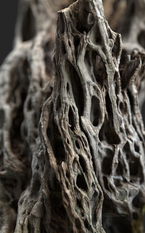 Natural Texture Inspiration, Tree Hollow, Dry Tree, Ancient Trees, Organic Structure, Tree Textures, Theme Nature, Natural Structures, Organic Nature