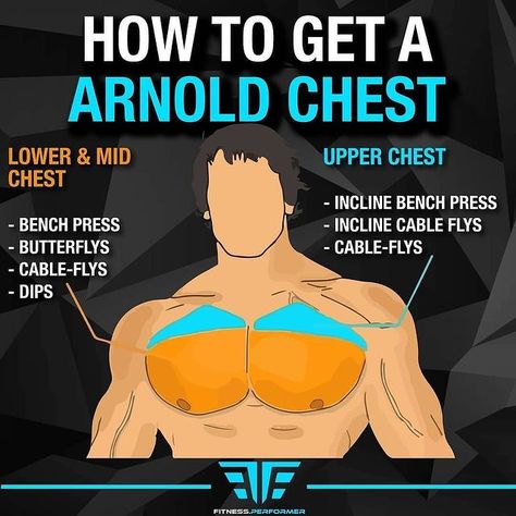 FITNESS IMPORTANCE 🇺🇸 on Instagram: “The Chest Muscle persists of the Pectoralis Major and Pectoralis Minor: The Clavicular-Head and the Sternum-Head. Lower & Mid Chest✅: The…” Chest Day Workout, Chest Muscles, Body Training, Chest Workout, Proper Nutrition, Bodybuilding Motivation, Bench Press, Muscle Growth, Upper Body Workout