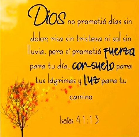 Dios promete paz Bible Text, Gods Love Quotes, Healing Words, Biblical Verses, Deviant Art, Biblical Quotes, Inspirational Bible Verses, Spanish Quotes, Dear God