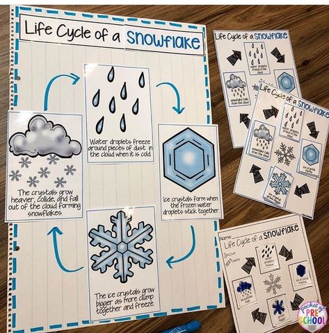 Winter Science Kindergarten, January Learning Themes, Winter Social Studies Activities Preschool, Winter Weather Theme Preschool, Winter Social Studies Preschool, Snow And Ice Preschool Activities, Preschool Snowflake Activities, Snow Lesson Plans For Preschool, Winter Science Center Preschool