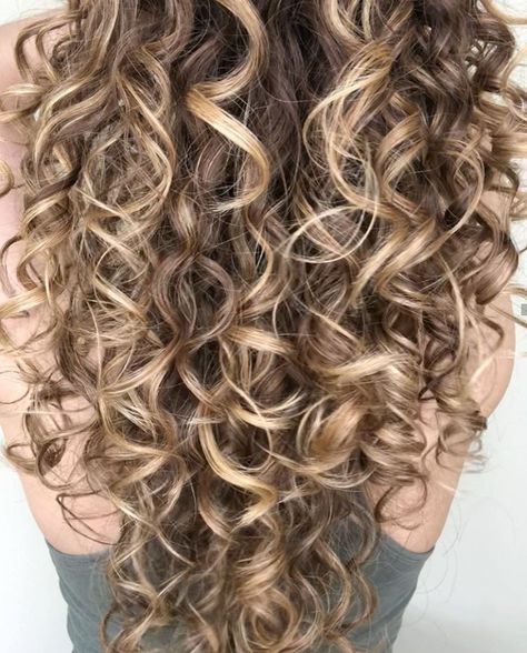 Virgin Curly Hair, Red Blonde Balayage Curly Hair, Baliage Curly Hair Natural Curls, Best Hair Color For Curly Hair Natural Curls, Full Highlight Curly Hair, Curly Hair Summer Color, Dark Blonde Balayage Curly Hair, Hair Ideas Light Brown, Curly Hair Highlights And Lowlights Brunettes