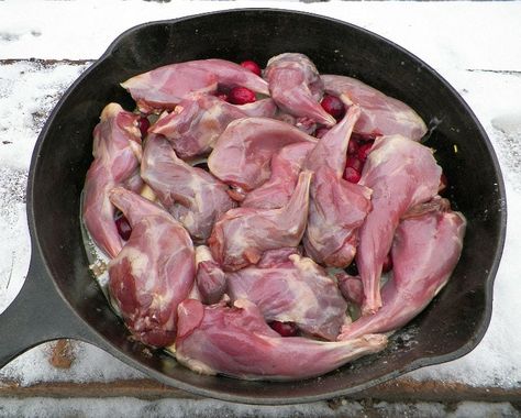 Squrriel Recipes, Squirrel Recipe, Squirrel Stew, Squirrel Recipes, Venison Backstrap Recipes, Backstrap Recipes, Rabbit Recipes, Squirrel Food, Game Meat