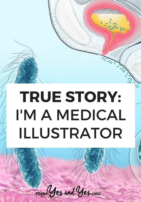 What's it like to work as a medical illustrator? If you're an artist or you love drawing, this might be the career for you! Medical Illustration Design, Medical Design Graphics, Medical Illustration Art, November Aesthetic, Medical Illustrations, Face Anatomy, Anatomy Tutorial, Medical Careers, Creative Jobs