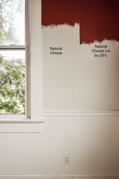 Natural Choice Paint Sherwin Williams, Sherwin William Natural Choice, Wherein Williams Natural Choice, Neutral Choice Sherwin Williams, Natural Choice Bedroom, Sw Natural Choice Walls, Neutral Wainscoting, Sherwin Williams Natural Choice Walls, Natural Choice Sherwin Williams Walls