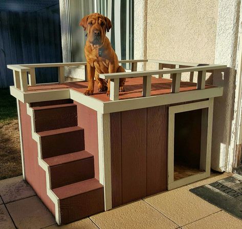 2 Story Dog House, Dog House Diy Plans, Heated Dog House, Dog Bunk Beds, Dog House With Porch, Extra Large Dog House, Dog Backyard, Pallet Dog Beds, Backyard Guest Houses