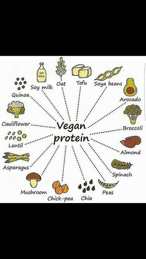 Vegan Protein Sources, Resep Diet, Vegan Nutrition, Vegan Protein, Vegan Foods, Protein Sources, Vegan Life, Vegan Lifestyle, Vegan Eating