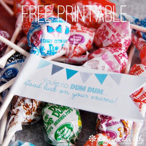 Dum Dum Lollipop Printable Testing Treats For Students, Testing Treats, Testing Encouragement, Academic Awards, Testing Motivation, Exam Week, Dum Dums, Week Schedule, Exam Day