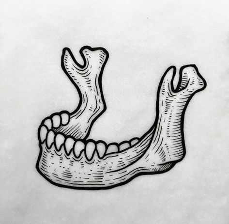 Jaw Bone Illustration, Skull Jaw Drawing, Skeleton Jaw Tattoo, Human Jaw Tattoo, Jaw Bone Drawing, Skull Flash Art, Skull Jaw Tattoo, Black Work Tattoo Flash, Bones Tattoo Ideas