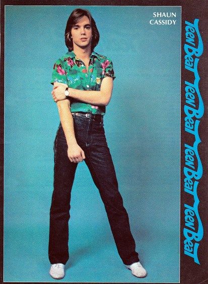 Teen Beat, Shaun Cassidy, June 1978 Shaun Cassidy, Tiger Beat, Hardy Boys, David Cassidy, Vintage Pinup, Pop Artist, Barbie And Ken, The Man, Pin Up