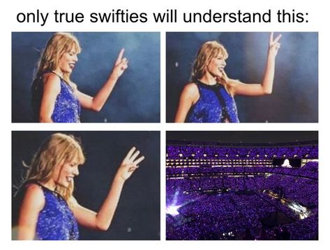 Only Swifties Will Understand, Are You A True Swiftie, Only Swifties Understand, Cute Pictures To Draw, Taylor Swift Jokes, Truth And Dare, Taylor Swift Fan Club, Blonde Cat, All About Taylor Swift