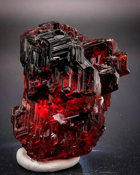 213 Likes, 6 Comments - @allans_minerals on Instagram: “Spessartine garnet, Navegadora Mine, Minas Gerais, Brazil.  NFS . . #spessartine #garnet #redgarnet…” Spessartine Garnet, Pretty Rocks, Precious Gems, Stone Rocks, Red Garnet, Crystals Minerals, Minerals Crystals, Rocks And Minerals, Rocks And Crystals