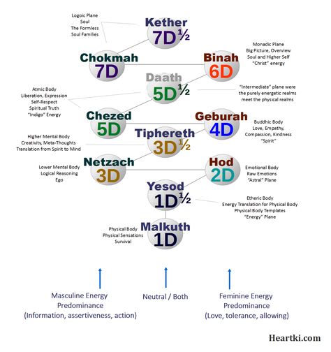 The esoteric knowledge of the Tree of Life with correspondence to levels of consciousness (or Densities), metaphysical planes, and human subtle bodies. #treeoflife #metaphysics #consciousness Esoteric Astrology, Spiritual Journaling, Spirit Energy, Pagan Magick, Esoteric Knowledge, Metaphysical Books, Subtle Bodies, Energy Consciousness, Esoteric Symbols