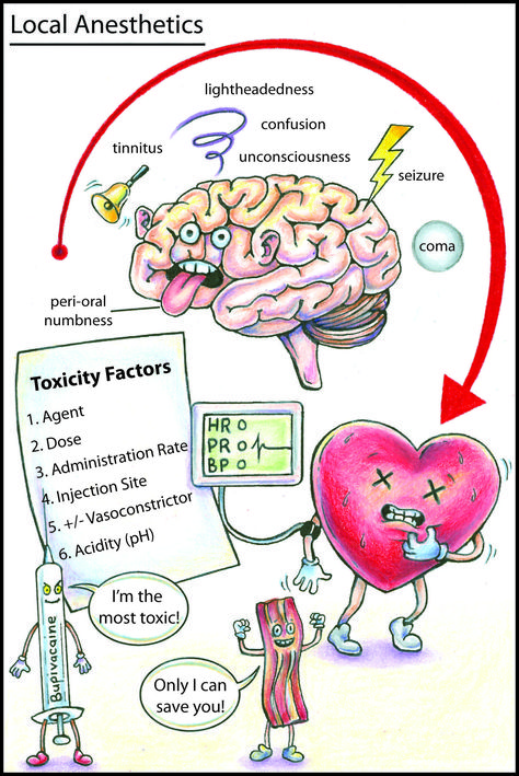 Toxicology Poisons, Operating Department Practitioner, Nursing Flashcards, Physician Assistant School, Nurse Anesthesia, Urgent Care Clinic, Medical Mnemonics, Nursing Assessment, Medicine Studies