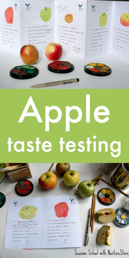 Printable apple taste test sheet - NurtureStore Apple Taste Test, Fall Educational Activities, Preschool Apples, Apple Lesson Plans, Apple Study, Apple Printable, Apple Unit Study, Garden Classroom, Apple Lessons