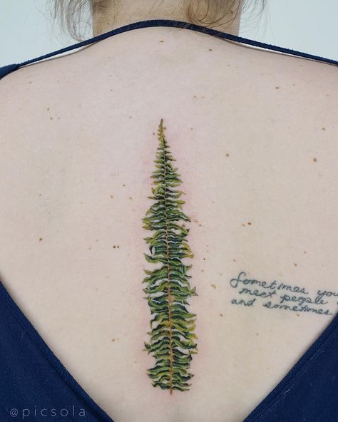 Fern Tattoo, Boston Fern, Grey Flowers, Maple Leaf Tattoo, Small Tattoos, Fern, Triangle Tattoo, Watercolor Tattoo, Body Art