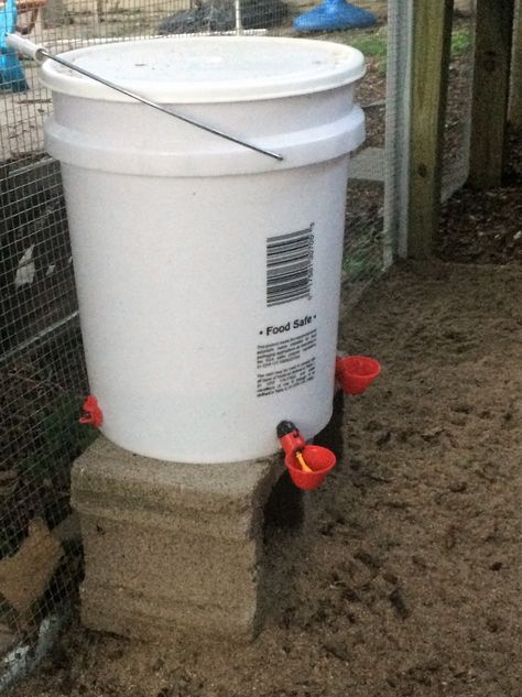 Long Term Chicken Waterer, Chicken Bucket Feeder, Chicken Diy Water Feeder, Bucket Chicken Waterer, 5 Gallon Bucket Watering System For Chickens, Diy Chicken Coop Watering System, Chickens Water Feeder, Chicken Waters Diy, Diy Water Feeder For Chickens