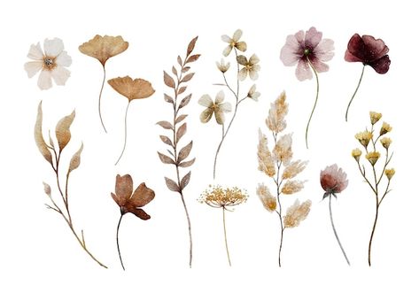 Vector watercolor pressed flowers and le... | Premium Vector #Freepik #vector #elements #wildflowers #herbarium #wild-flowers Flowers Real, Vector Elements, Flower Collection, Pressed Flower, Flowers And Leaves, Pressed Flowers, Premium Vector, Graphic Resources, Wild Flowers