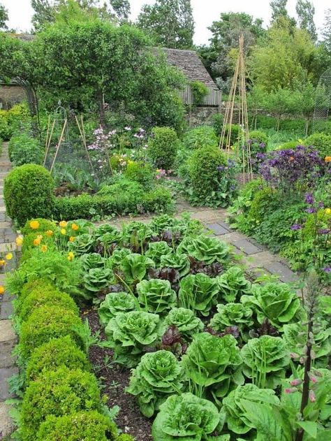 Raised Vegetable Gardens, Small Vegetable Gardens, Potager Garden, Backyard Vegetable Gardens, Cottage Garden Design, Veg Garden, Have Inspiration, Vegetable Garden Design, French Garden