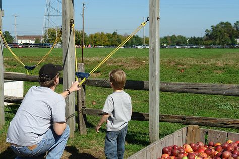 Apple slingshot Pumpkin Slingshot Diy, Picnic Games, Adult Playground, Diy Apple, Harvest Day, Pumpkin Harvest, Play Areas, 6th Birthday, Fall Festival