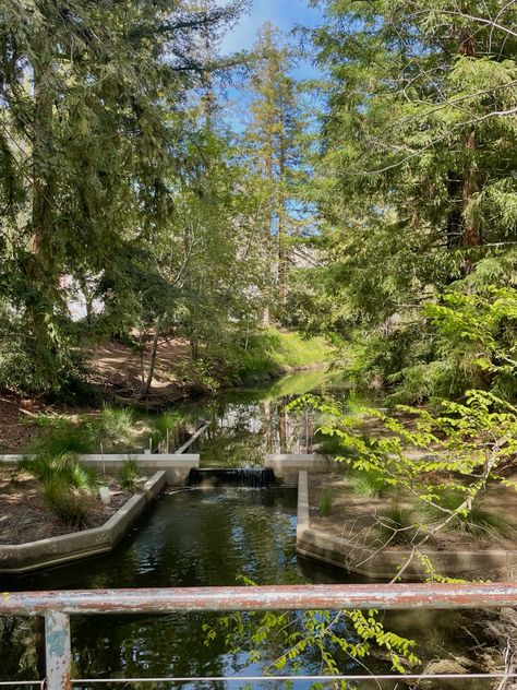 Uc Davis Campus Aesthetic, Ucdavis Aesthetic, Uc Davis Aesthetic, Campus Aesthetic, College Apps, Uc Davis, Dream College, Let Me In, College Life