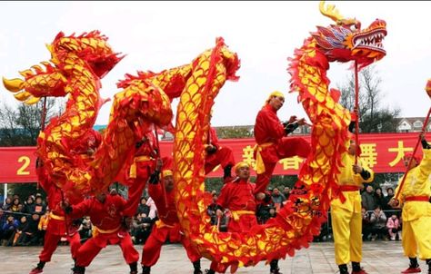 Chinese Dragon Costume, Dragon Dance Costume, Traditional Dragon, Party City Costumes, Chinese Festival, Dragon Costume, Dragon Dance, Black Halloween Dress, Dragon Puppet