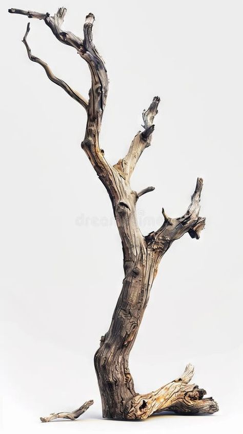 A tree with no leaves and branches stock photo Tree Branch Aesthetic, Tree Branches Photography, Tree No Leaves, Tree With No Leaves, Tree Without Leaves, Baby Room Paintings, Cherry Branch, Drawing Bird, Dry Tree