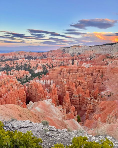 Pretty photos I took last Fall at Bryce Canyon National Park. 🤩🤩 Hi, I’m Kelly✨I’m an adventure travel content creator from New York. I’ve been to all 50 US States and 31 countries, and my list is constantly growing! My goal is to inspire you to live your most extraordinary life. I want you to never stop chasing your dreams. Follow along @freedomwithkel for daily travel inspiration and tips for new creators! 🫶 #brycecanyon #travelphotography #travelinspiration Content Creator Tips, Travel Influencer, Stop Chasing, Visit Utah, Visit Usa, Travel Content, Bryce Canyon National Park, Utah National Parks, Extraordinary Life