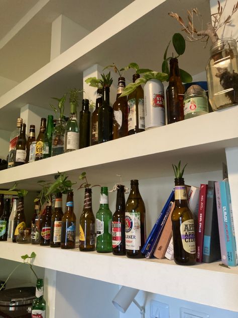 Bottles On Wall, Bottle Room Decor, Alcohol Bottle Decorations, Plants In Bottles, Alcohol Bottles, Beer Bottles, Recycled Bottles, Dream Home Design, Design Interior