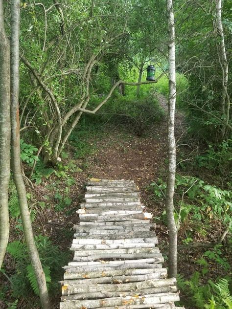 Creek Bridge Ideas, Wetland Boardwalk, Path Backyard, Wooded Backyard Landscape, Log Bridge, Wooded Backyard, Homestead Projects, Forest Gardens, Woodland Trail