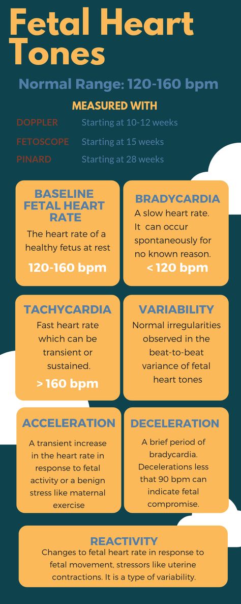 Fetal Heart Rate Chart, Future Midwife, Acls Algorithm, Slow Heart Rate, Fetal Heart Rate, Office Things, Ob Nursing, Medical School Inspiration, School Inspiration