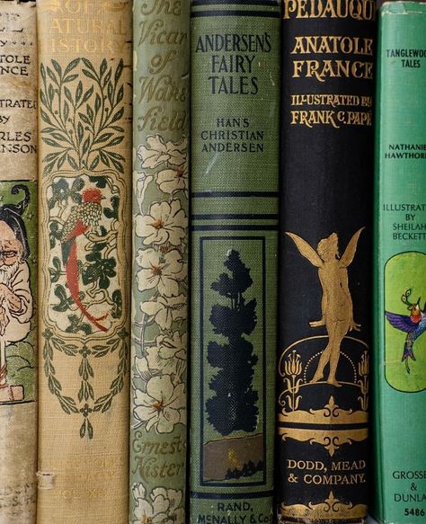 Library Aesthetic, Book Spine, Vintage Book Covers, Beautiful Book Covers, Book Cover Art, Old Books, I Love Books, Antique Books, Book Aesthetic