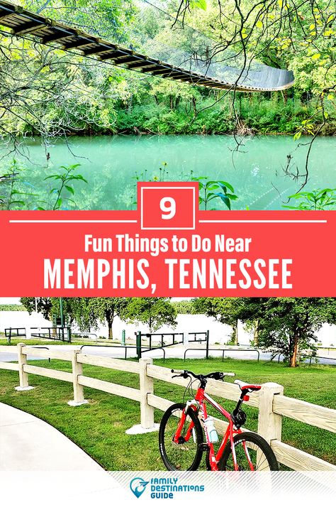 Memphis Tennessee Vacation, Tennessee Family Vacation, Things To Do In Memphis, Memphis Zoo, Tennessee Road Trip, Downtown Memphis, Tennessee Travel, Tennessee Vacation, American Road Trip