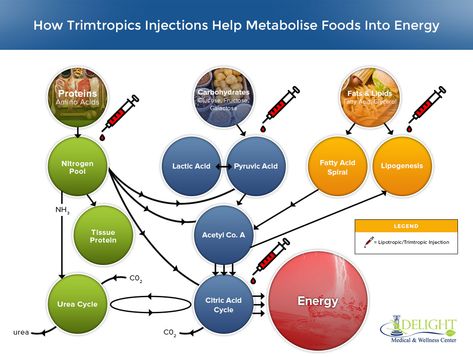 Boost your wellness & shed those extra pounds with the amazing benefits of lipotropic injections. Experience a healthier, slimmer you today! - #lipotropicinjections #lipotropicinjectionsadvantages #lipotropicinjectionsbenefits #lipotropicinjectionshealthbenefits #lipotropicinjectionsperks #lipotropicinjectionspositiveeffects #lipotropicinjectionspros #lipotropicshots #lipotropicsupplements #lipotropictherapy #lipotropictreatments Lipotropic Injections, Urea Cycle, Reduce Appetite, Increase Energy Levels, Boost Energy Levels, Remove Toxins, Liver Health, Boost Metabolism, Boost Energy