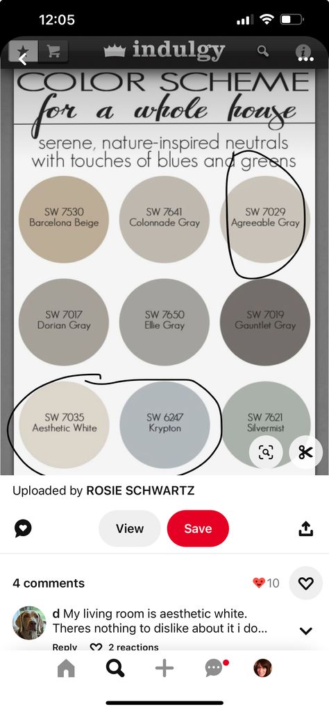 Color Palette For Agreeable Gray, Agreeable Gray Lightened 25%, Accent Colors For Agreeable Gray, Agreeable Gray Complimentary Colors, Agreeable Gray Color Scheme, Agreeable Grey Color Scheme, Living Room Paint Design, Outdoor House Colors, Paint Combos