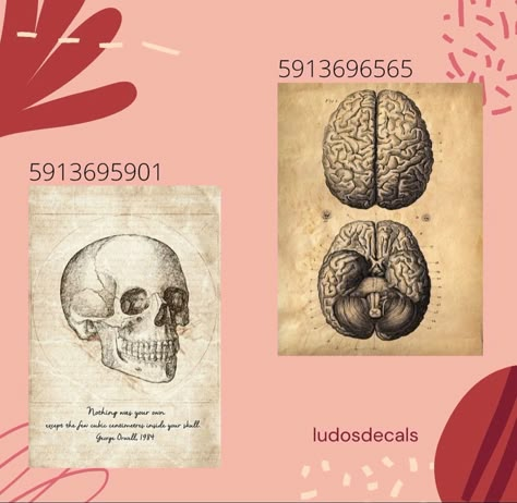 Aesthetic Id Codes For Bloxburg, Realistic Carpet Bloxburg, Dvd Bloxburg Codes, Goth Roblox Decal Id, Bloxburg Biology Decals, Roblox Decal Codes Vintage, Roblox Bloxburg School Decals, Bloxburg Horror Movie Decals, Doctor Decals Bloxburg