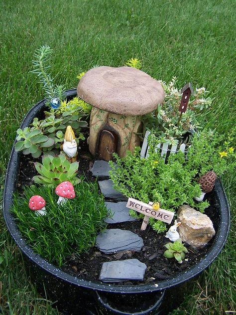 Kaktus Dan Sukulen, Fairy Garden Pots, Fairy House Diy, Fairy Garden Designs, Fairy Garden Crafts, Faeries Gardens, Mini Fairy Garden, Dish Garden, Fairy Garden Houses