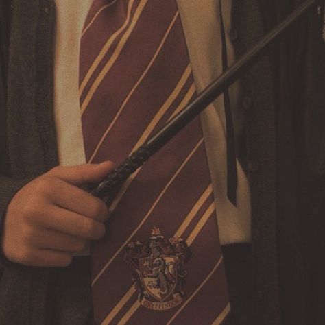 Golden Era Aesthetic, Weasley Aesthetic, Era Aesthetic, Gryffindor Aesthetic, Oliver Wood, Peter Pettigrew, Hp Harry Potter, Hogwarts Aesthetic, Fred Weasley