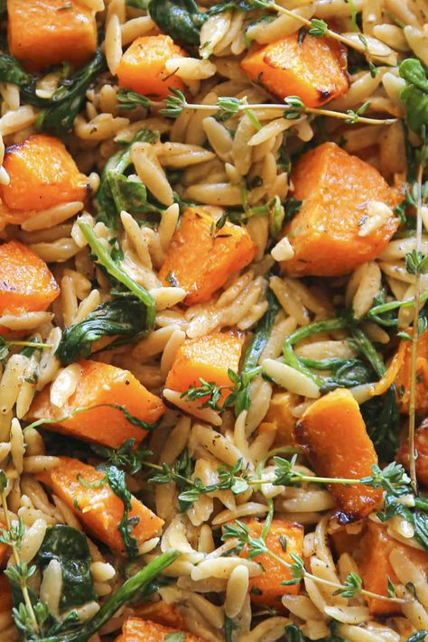 creamy orzo pasta with butternut squash and spinach Butter Squash Recipe, Orzo Dinner Recipes, Pasta With Butternut Squash, Healthy Soup Recipes Clean Eating, Creamy Orzo Pasta, Butternut Squash And Spinach, Butternut Squash Recipes Pasta, Orzo Spinach, Veggies Roasted