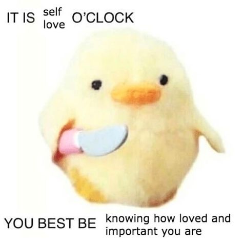 Knock, knock MFers. Lol...best be loving yo'self! Cute Love Memes, Funny Duck, You Meme, Fresh Memes, You're Beautiful, Wholesome Memes, Cute Memes, Love Memes, O Clock