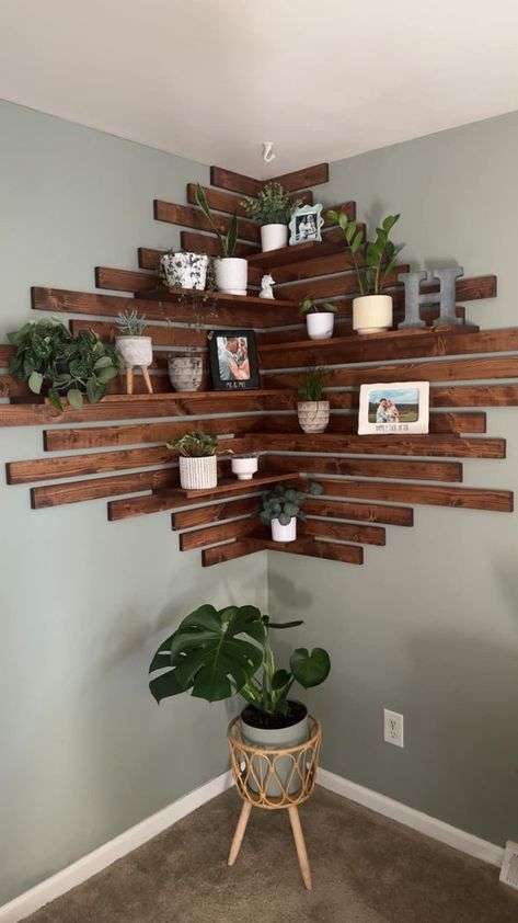 Help with House Plants | Just wanted to share my new DIY plant shelf 🪴 pretty easy to create if anyone is looking for ideas 😊 | Facebook Diy Corner Shelf Easy, Diy Plant Shelf, Corner Plant Shelf, Diy Corner Shelf, Corner Plant, Earthy Home, Plant Shelf, Succulents Indoor, Corner Wall