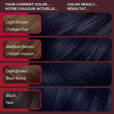 I have always wanted blue hair.  Vidal Sassoon London Luxe Midnight Muse Blue Midnight Blue Hair Short, Midnight Blue Black Hair Color, Dark Indigo Hair, Dark Midnight Blue Hair, Midnight Dark Blue Hair, Midnight Hair Color, Dark Blue Black Hair, Midnight Blue Hair Dye, Dark Blue Hair Color