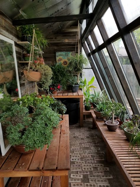 Passive Solar Greenhouse - Gardenista Hoop Greenhouse, Garage Greenhouse, Greenhouse Addition, Contemporary Greenhouses, Patio Greenhouse, Homestead Design, Passive Solar Greenhouse, Garden Cover, Modern Greenhouses