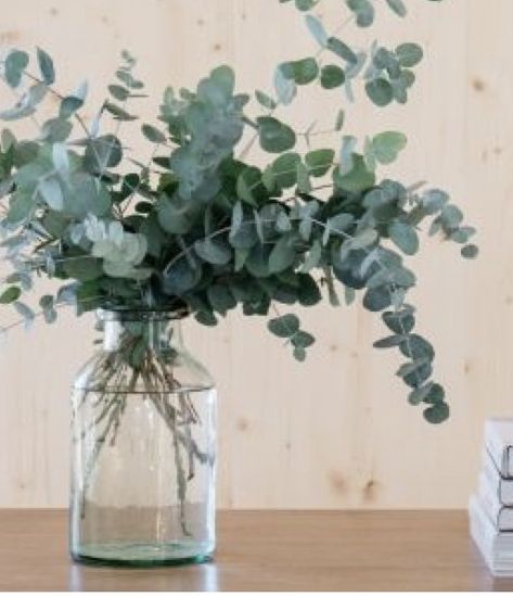 Eucalyptus would look and smell great in the bottles/jars to compliment the look City Gardens, Grand Vase, Clear Vases, Clear Vase, Garden Wedding Decorations, Decoration Plante, Deco Floral, Diy Plants, Diy Wedding Decorations