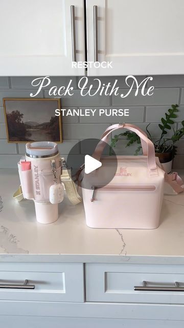 Stanley Lunch Box Ideas, Stanley Storage Ideas, Stanley Bag, Stanley Cup Accessories, Stanley Cup Aesthetic, Nurse Organization, Gift Games, Nursing School Inspiration, Christmas Gift Games