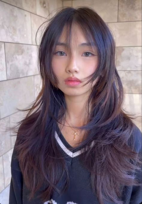 Different Layered Haircuts Medium, 2016 Layered Hair, Popular Korean Haircut For Women, Layers For Long Hair Asian, Layered Hime Haircut Long, Wispy Hime Cut, Soft Himecut, Two Layers Haircut, Hair Cuts Layers Long