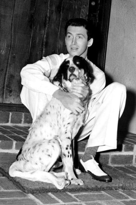 Jimmy Stewart and a friend English Setters, Jimmy Stewart, James Stewart, Classic Actors, It's A Wonderful Life, House Divided, Springer Spaniels, Barbara Stanwyck, Humphrey Bogart