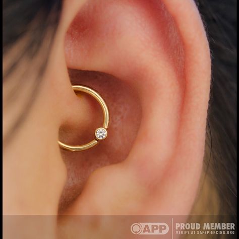 One of our favorite piercings is the daith! The simplicity of this daith piercing, with a yellow gold gem ring is really wonderful. Piercing by Dan Steinbacher. Daith Ear Piercing, Gold Helix Earrings, Piercing Snug, Minimalist Ear Piercings, Captive Bead Ring, Eyebrow Jewelry, Piercing Conch, Daith Jewelry, Daith Piercing Jewelry