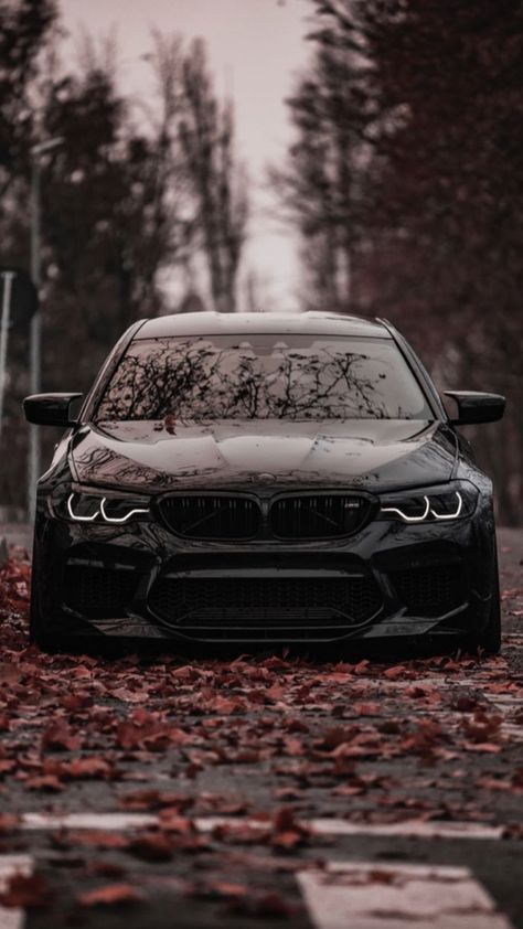 Alto Car, New Car Wallpaper, Bmw M5 F90, Bmw F80 M3, M5 F90, Carros Bmw, Bmw Black, Dream Cars Bmw, F80 M3