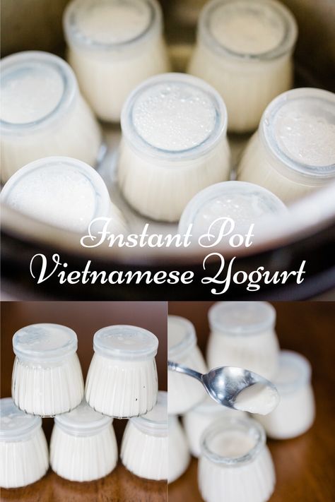 Vietnamese Yogurt Recipes, Instapot Yogurt Recipes, Vietnamese Yogurt, Yogurt Jars, Instant Pot Yogurt Recipe, Instant Pot Yogurt, Raspberry Yogurt, Yogurt Flavors, Baby Food Jars